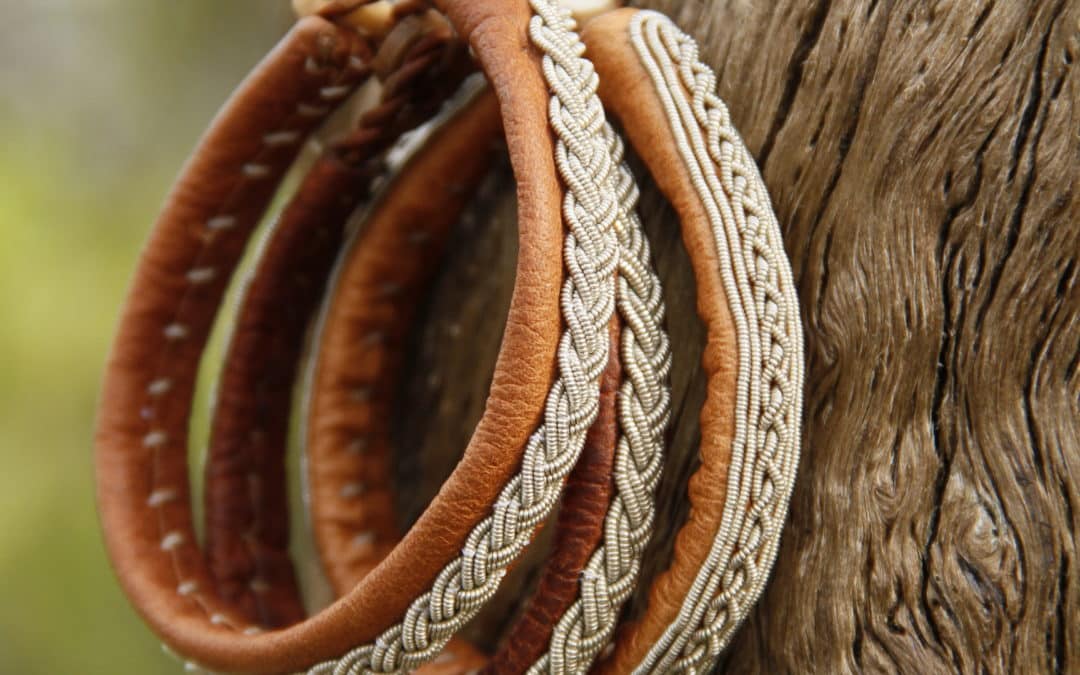 Sørsamisk Næringsutvikling